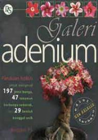 Image of Galeri Adenium